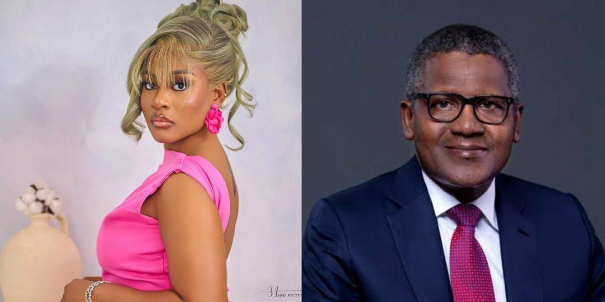 Phyna Slams Dangote, Says Company Truck Crushed her Sister (Video)