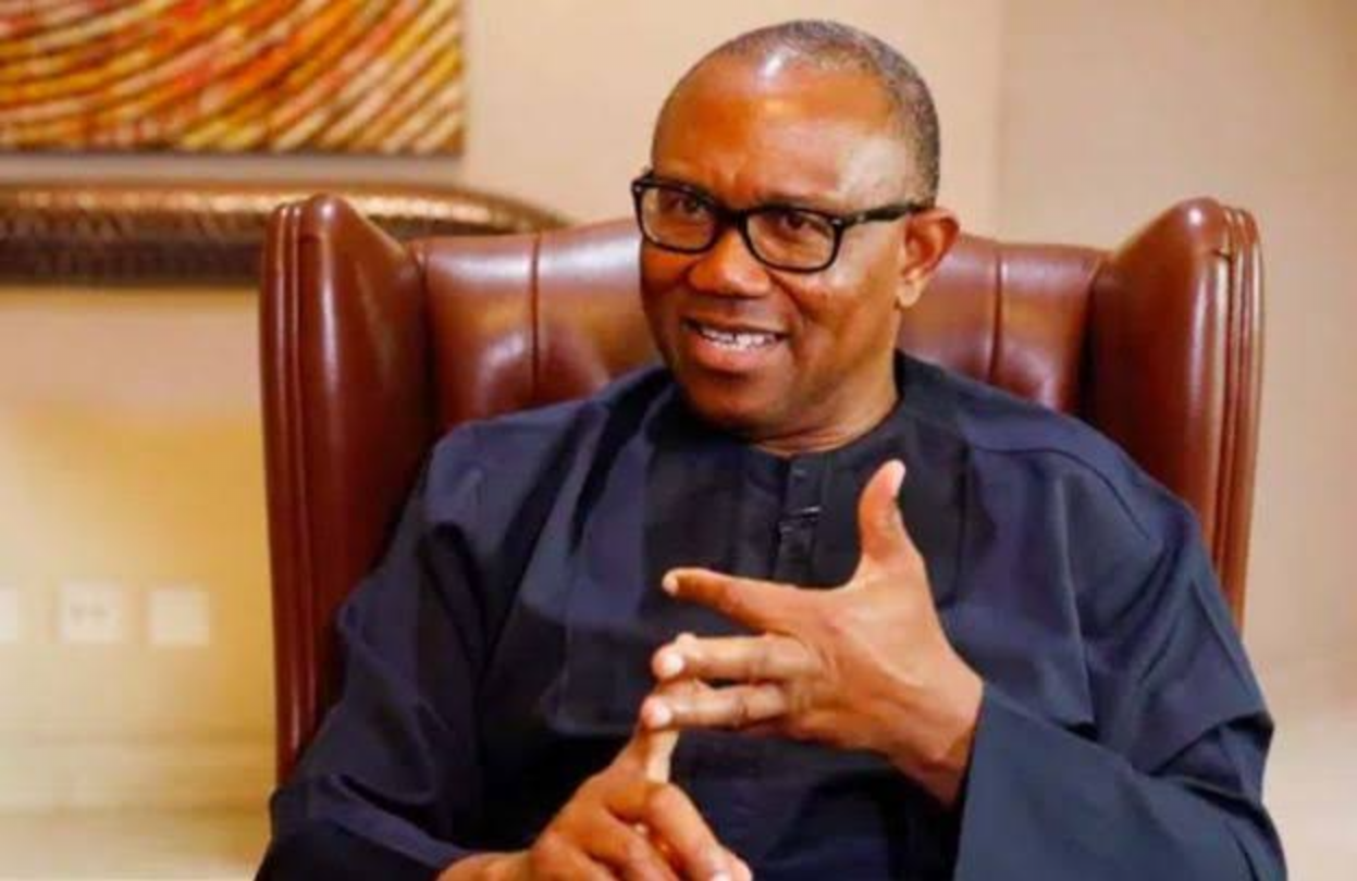 APC Diminished Nigeria – Peter Obi